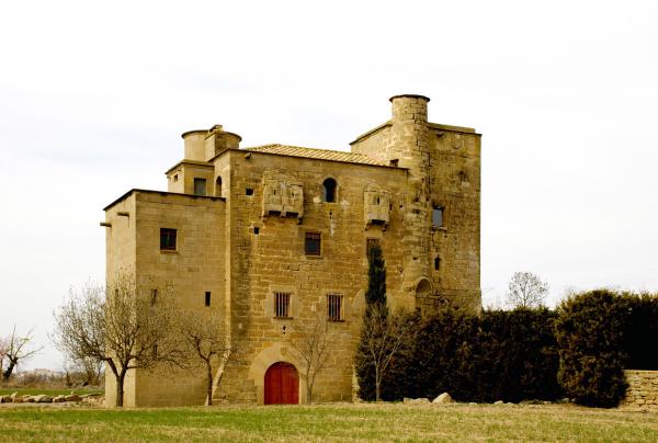 6 de Març de 2014 antic castell convertit en molí fariner  Ratera - 