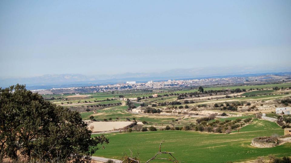21.2.2016 Vista des de Gramuntell  Cervera -  Ramon Sunyer