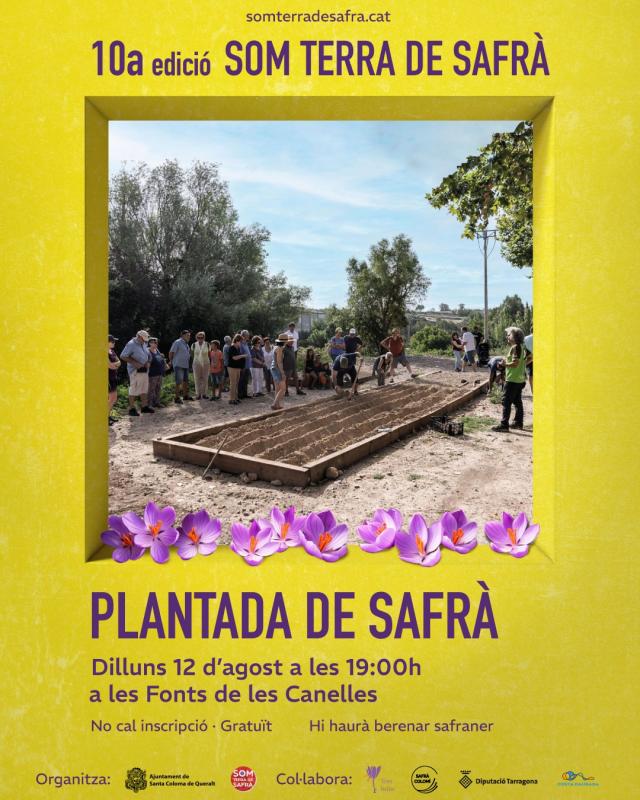 cartell Plantada de bulbs de safrà - Santa Coloma de Queralt