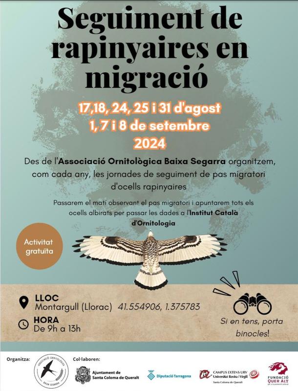 cartell Seguiment de rapinyaires en migració 2024 - Montargull