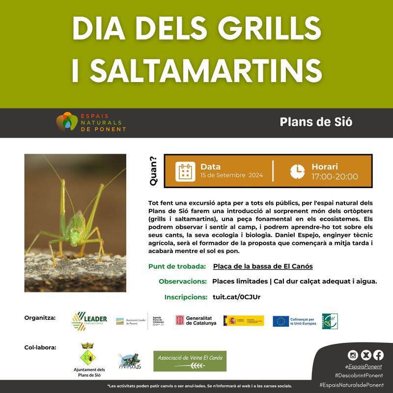   Dia dels Grills i Saltamartins 2024