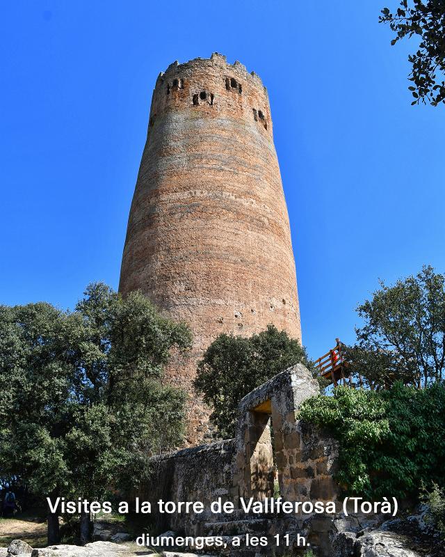  Visita guiada a la Torre de Vallferosa 2025