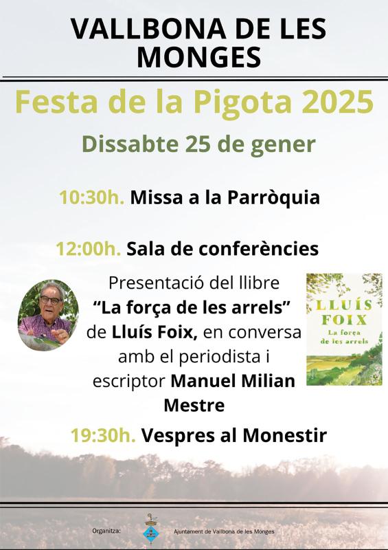 cartell Festa de la Pigota 2025