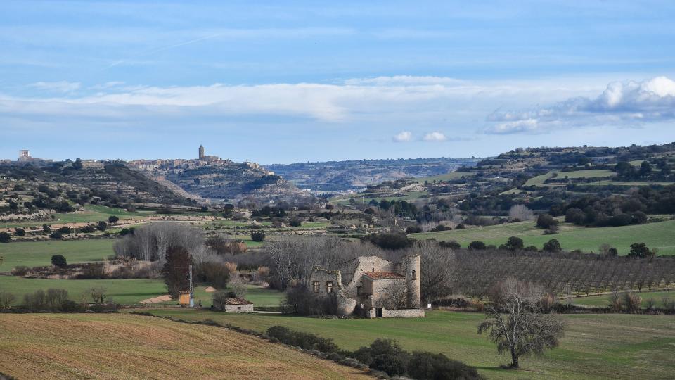 26.1.2025 Torre Saportella i Cervera  La Curullada -  Ramon Sunyer