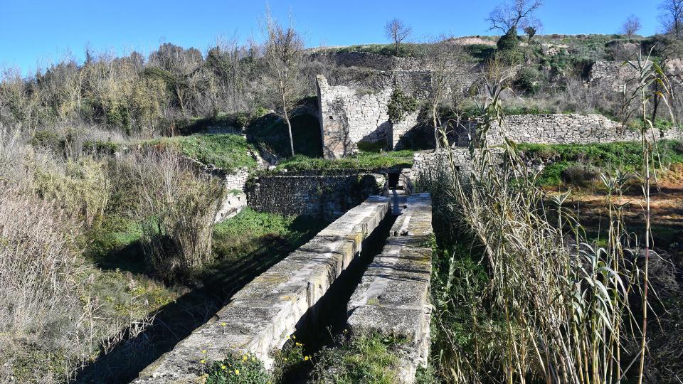 16.12.2024 Aqüeducte  Santa Coloma de Queralt -  Ramon Sunyer