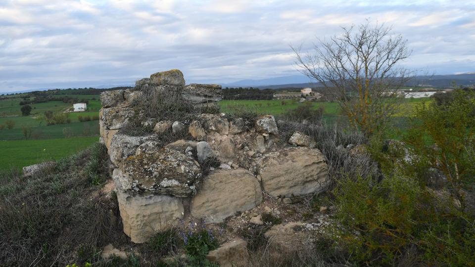 28.3.2024 Castell de Rubiol  Guissona -  Ramon Sunyer