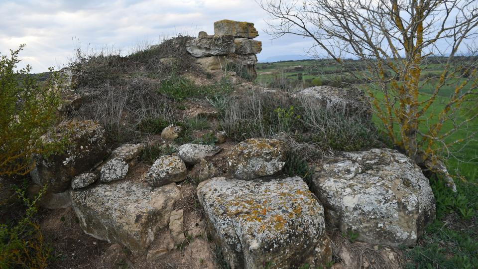 28.3.2024 Castell de Rubiol  Guissona -  Ramon Sunyer