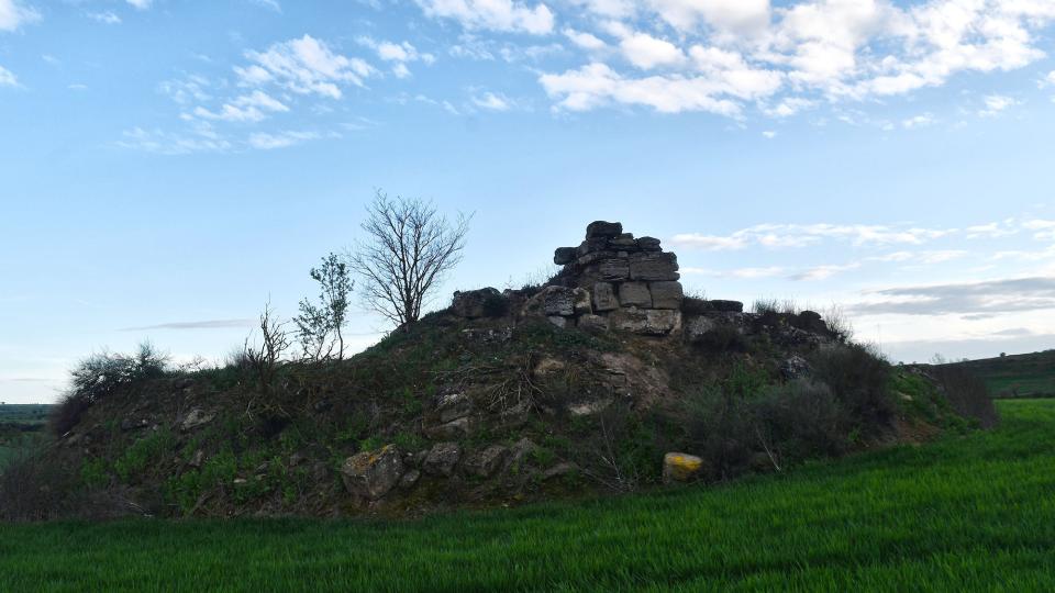 28.3.2024 Castell de Rubiol  Guissona -  Ramon Sunyer