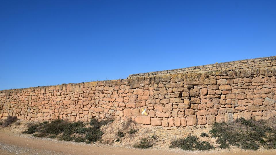 23.2.2025 Marges de pedra seca al castell de Rubiol  Guissona -  Ramon Sunyer