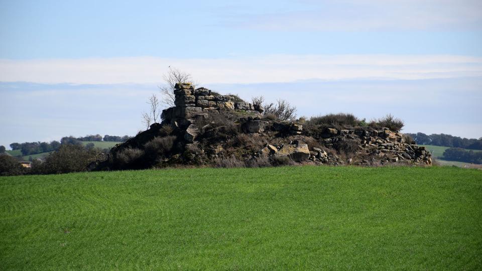 23.2.2025 Castell de Rubiol  Guissona -  Ramon Sunyer