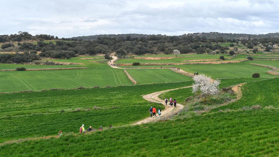 2.3.2025 XXV Marxa dels Castells  Florejacs -  Ramon Sunyer