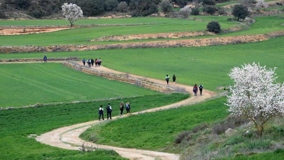 2.3.2025 XXV Marxa dels Castells  Florejacs -  Ramon Sunyer