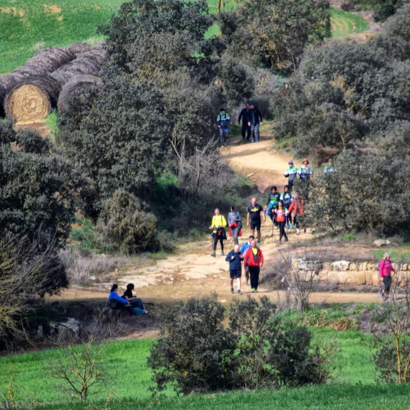 2.3.2025 XXV Marxa dels Castells  Palou -  Ramon Sunyer