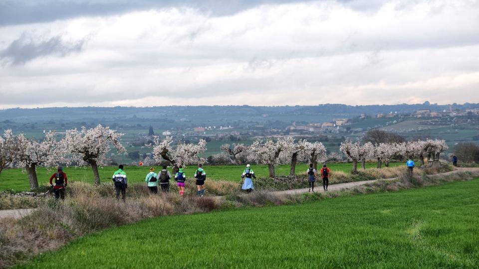 2.3.2025 XXV Marxa dels Castells  Guissona -  Ramon Sunyer