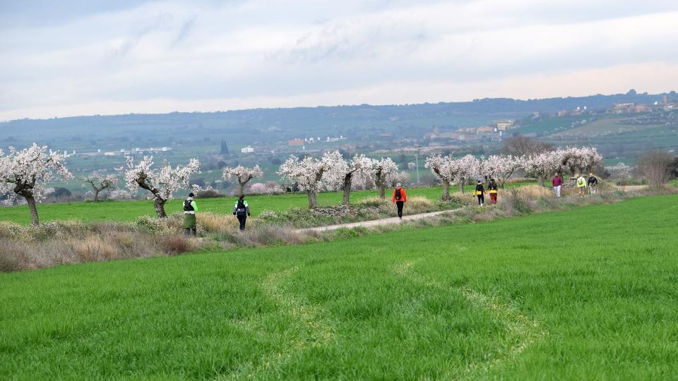 2.3.2025 XXV Marxa dels Castells  Guissona -  Ramon Sunyer