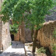 Sant Domí: vila closa  Ramon Sunyer