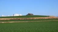 Guissona: Marges de pedra seca al castell de Rubiol  Ramon Sunyer