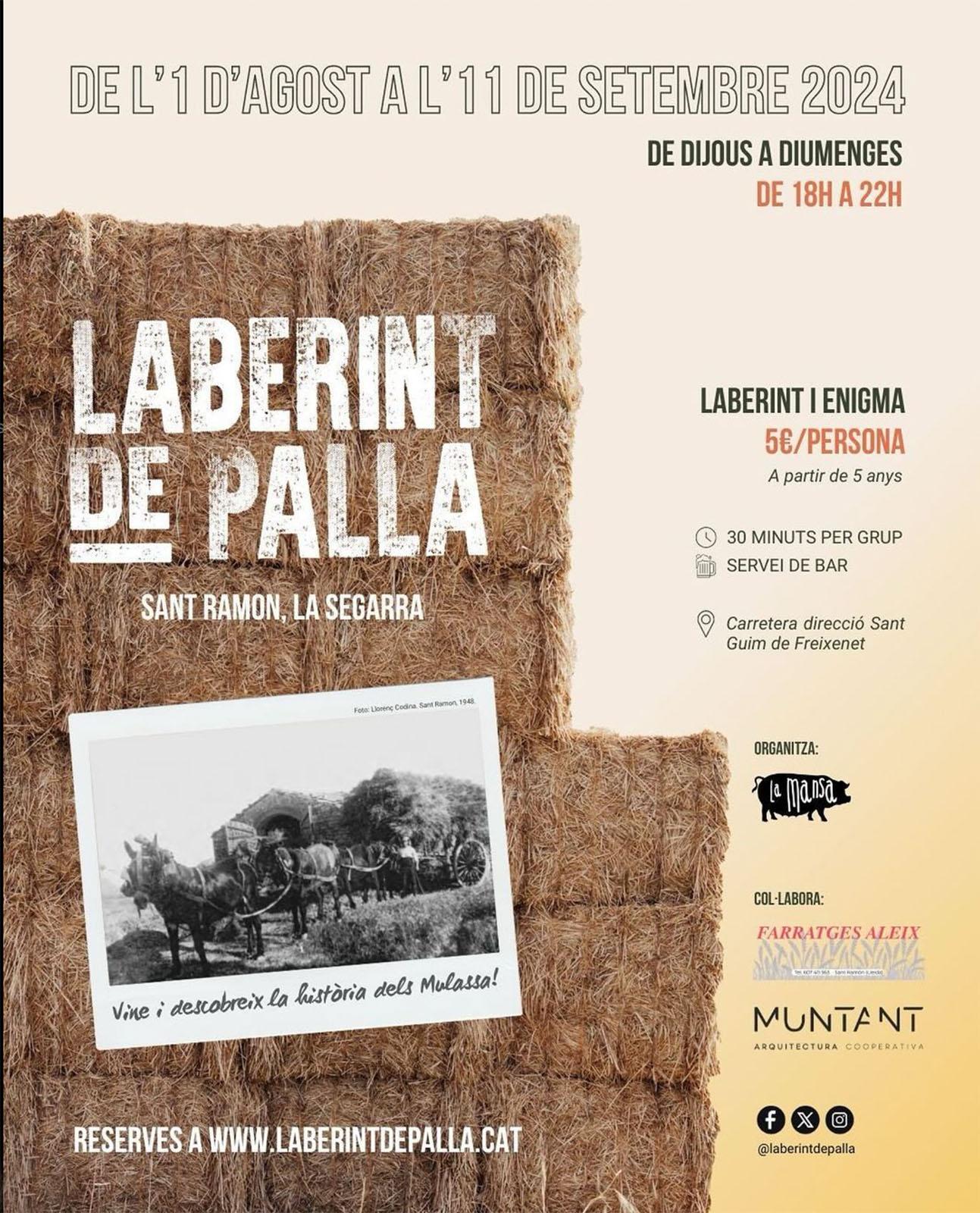 cartell Laberint de palla 2024