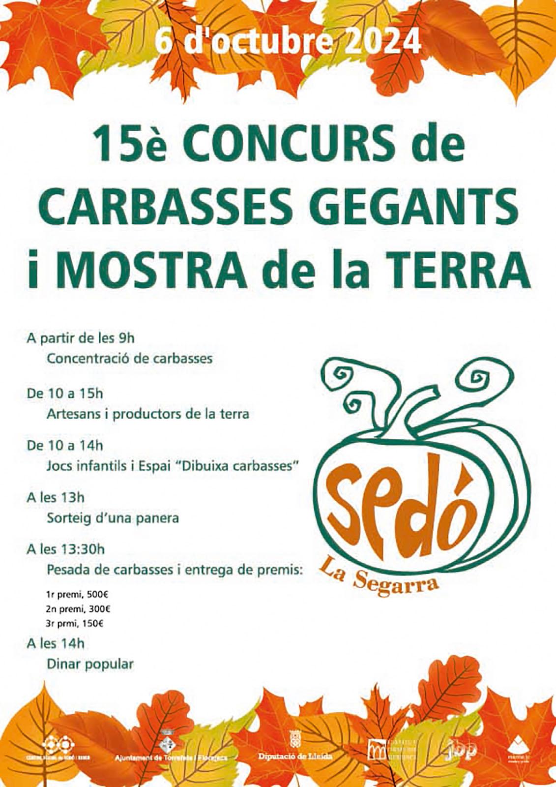 cartell 15è Concurs de Carbasses Gegants de Sedó