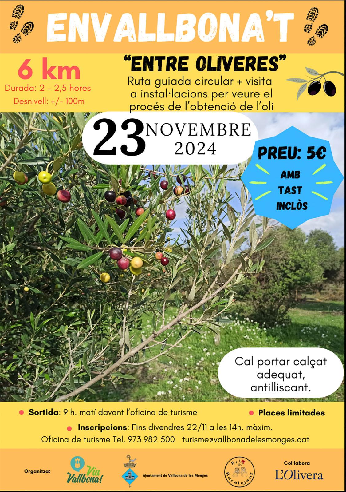 cartell EnVallbona't Entre oliveres