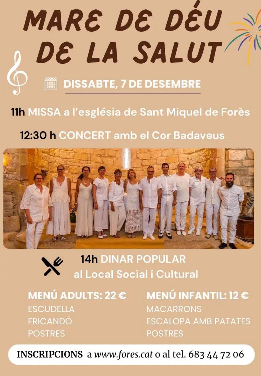 cartell Festa de la Mare de Déu de la Salut